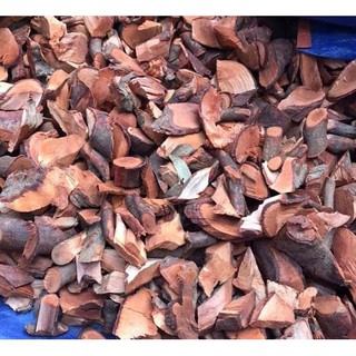 1kg Rễ mú từn khô - Bổ thận tráng dương, tăng cường sinh lý - FG118