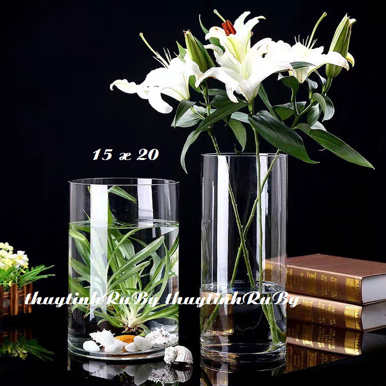 Bình bông lọ hoa D15xH20cm, trụ thủy tinh cắm hoa trang trí, chậu cây thủy sinh