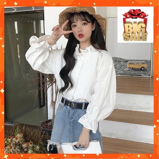 [GIẢM GIÁ] ÁO SƠ MI CỔ PHỐI BÈO SIÊU XINH MSD32