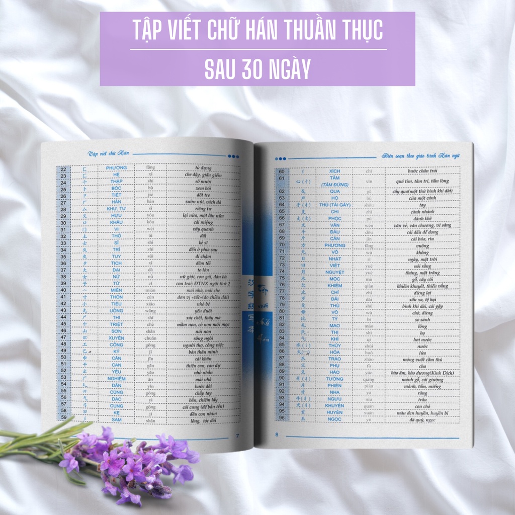 Sách - Tập Viết Chữ Hán (Phiên bản mới)