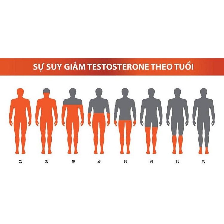 Chống xuất tinh sớm, tăng cường sinh lý nam Hàu biển ob, Oyster plus, Hộp 30v