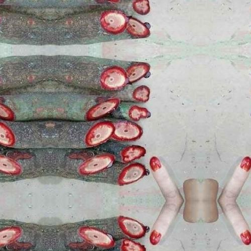 1kg cây cỏ máu Quảng Bình giúp tăng cân