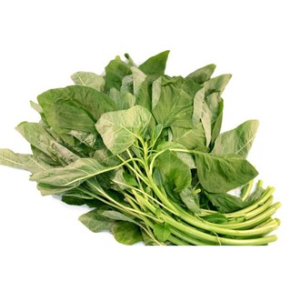HẠT GIỐNG DỀN CƠM 10 GAM - THUẬN ĐIỀN