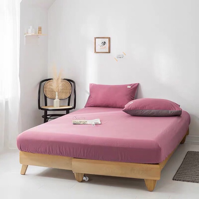 Set Ga + 2 Vỏ Gối Cotton TICI - Cotton Hoạt Tính | BigBuy360 - bigbuy360.vn