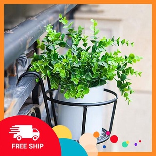 [FREE SHIP] Giỏ sắt treo hoa cảnh ban công