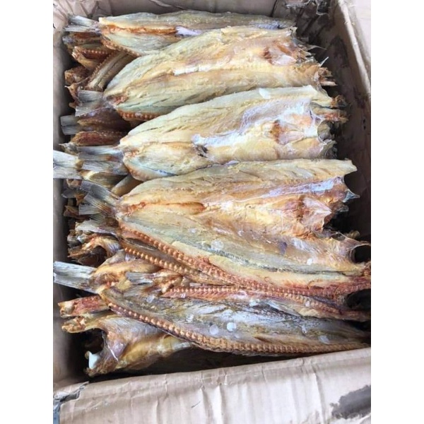 1kg CÁ MỐI biển khô