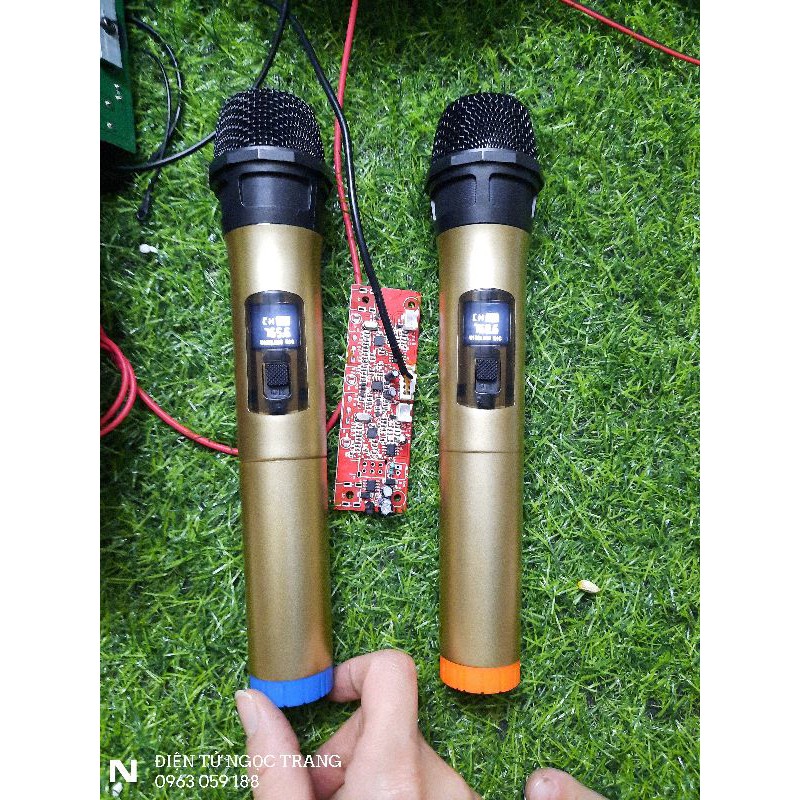 Micro Cho Loa Kéo - Giá 1 Cặp