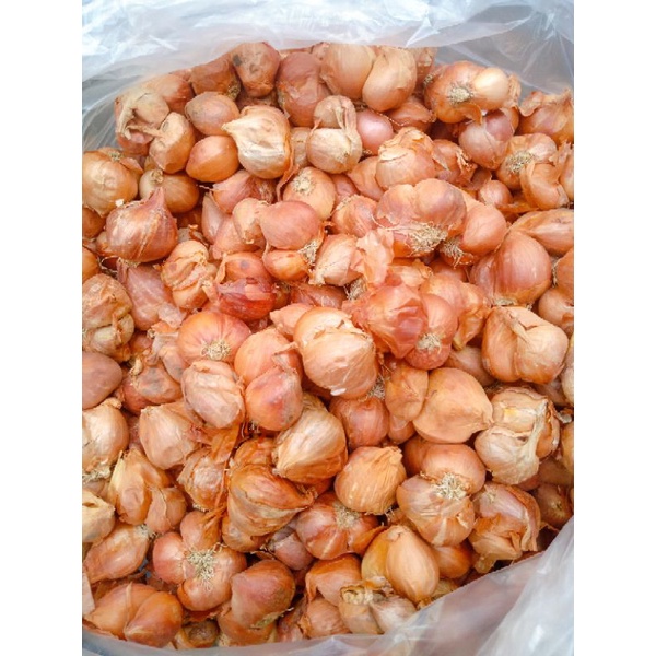 1 KG HÀNH KHÔ TA MIỀN BẮC GIÁ SỈ