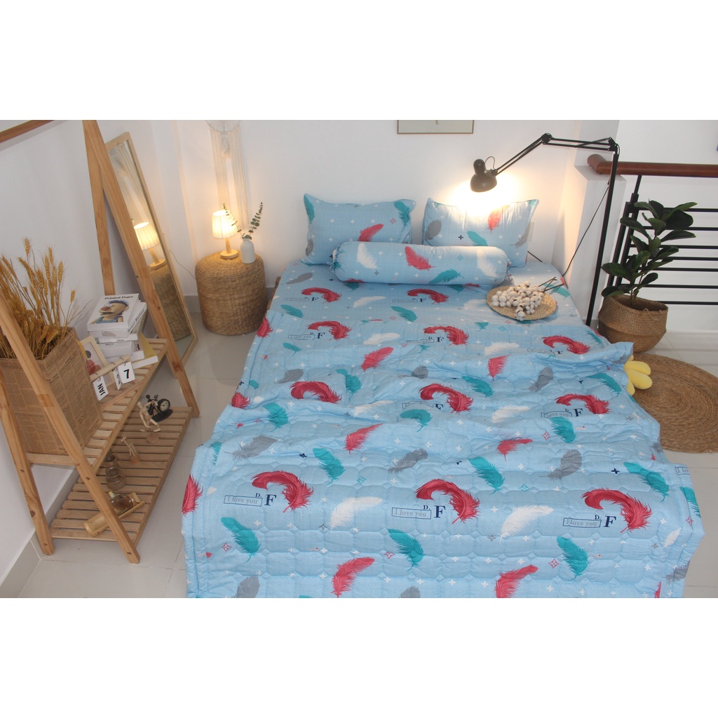 Bộ drap 4 món Cotton - Mẫu Lông Vũ Nền Màu Xanh