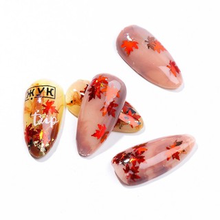 Set phụ kiện ẩn gel 12 màu (lá phong, bướm, ...)