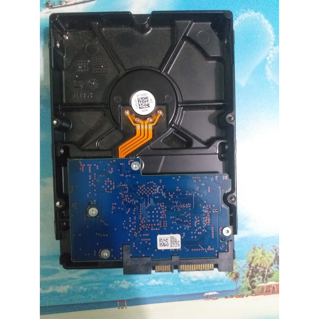 Ổ Cứng HDD Toshiba 1TB (1000Gb) 3.5 inch SATA 3 7200 Prm - Hàng Chính Hãng