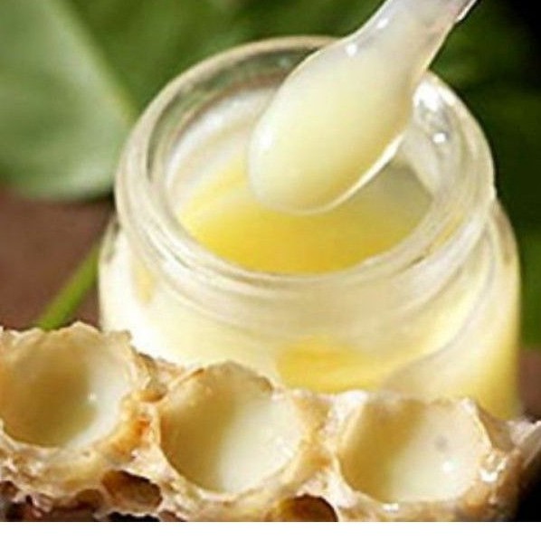 100g Sữa ong chúa tươi nguyên chất
