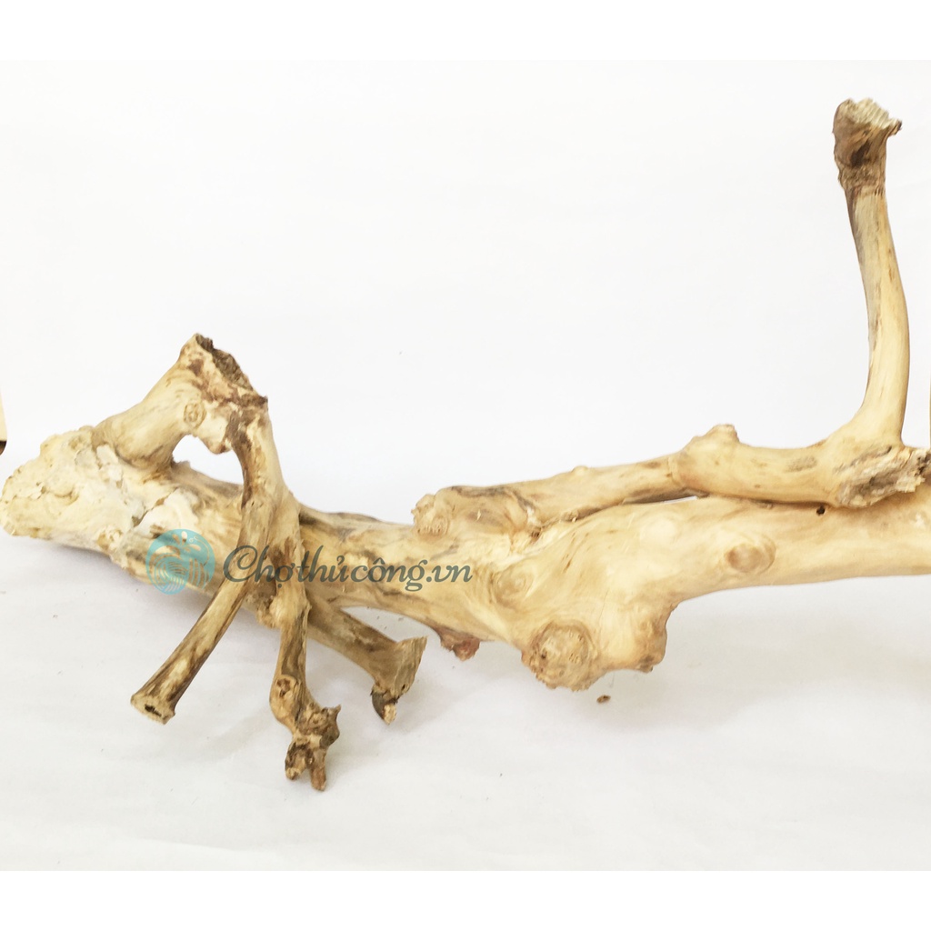 Combo 2 Nhánh lũa, Cành cây khô tự nhiên nhiều hình dạng KT D40-60cm dùng trang trí, decor vintage