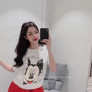 Set bộ micky mẹ và bé
