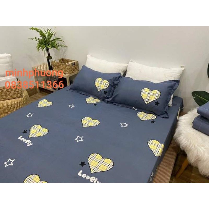 Bộ ga gối m6/m8 drap giường poly, ga trải giường cute + 2 vỏ gối nằm cute mẫu mã đa dạng, đủ kích thước