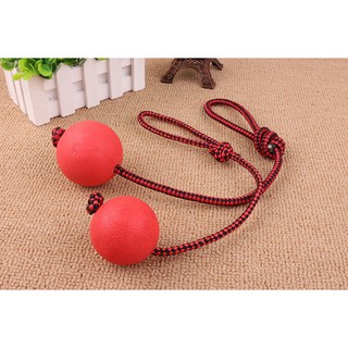Bóng Huấn Luyện Thú Cưng