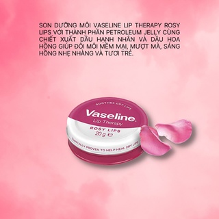Dưỡng môi Vaseline Lip Therapy Rose 20g