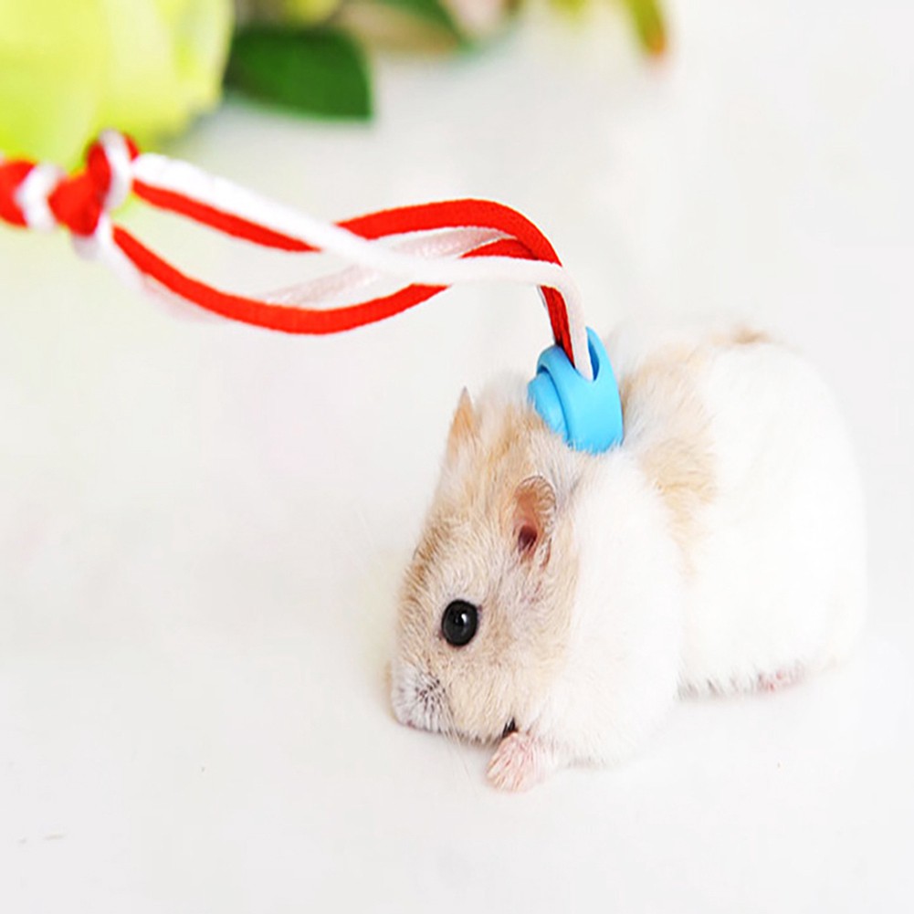 Dây dắt chuột Hamster/thỏ đi dạo chơi 1.4/2m