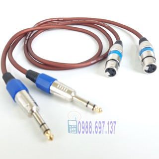 2 dây kết nối âm thanh canon cái ra 6li loại 80cm