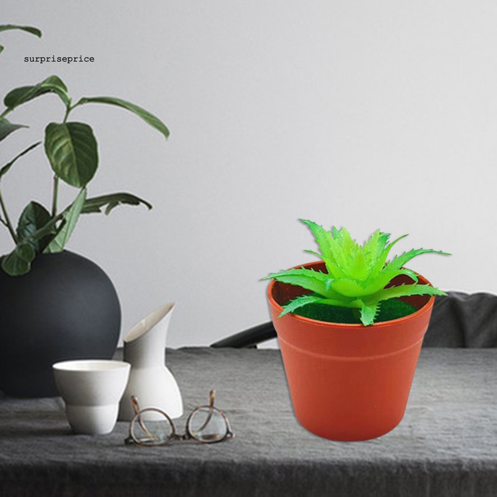 Chậu Cây Cảnh Nhân Tạo Sống Động Dùng Trang Trí