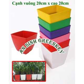 Chậu nhựa hình vuông V20