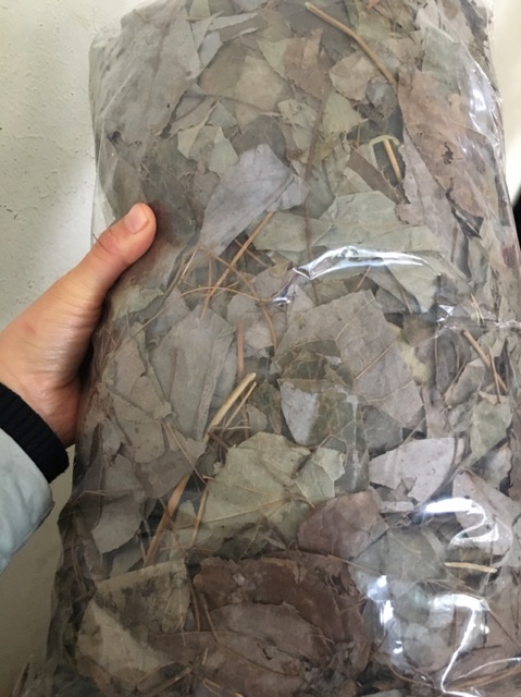 Dâm Dương Hoắc Sa Pa 500g