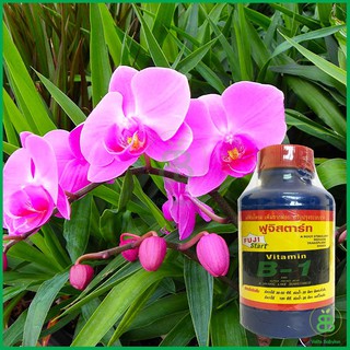 Bán (rẻ) Vitamin B1 Thái lan (100ml) hàng nhập khẩu.