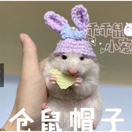 NÓN len handmade THỎ TÍM CHO HAMSTER, CHUỘT, BỌ Ú...