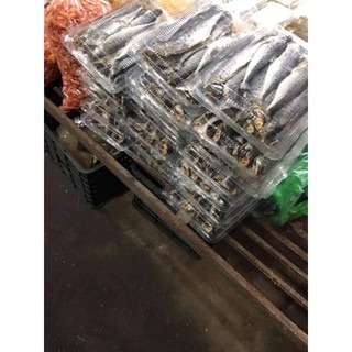 1kg Khô cá thu thịt dai chắc đều con