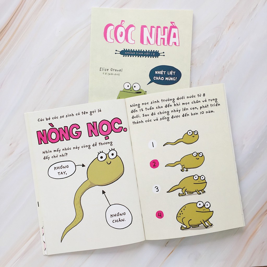 Sách - Những sinh vật í ẹ - Cóc nhà - Nhận biết con vật cho bé - Khoa học vui nhộn - Crabit Kidbooks