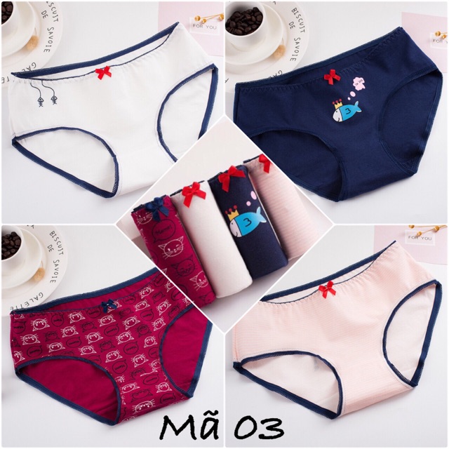 HỘP 04 QUẦN LÓT COTTON CHẤT ĐẸP (QL0024) | BigBuy360 - bigbuy360.vn