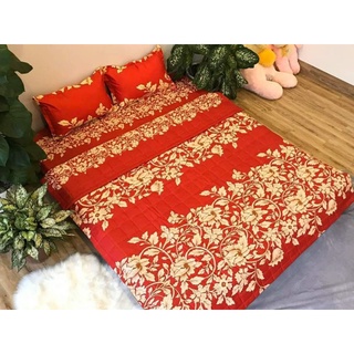 Chăn Hè Thu Trần Bông 1,8*2m