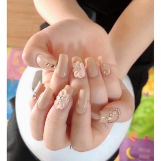 hoa bột móng kiểu NN
