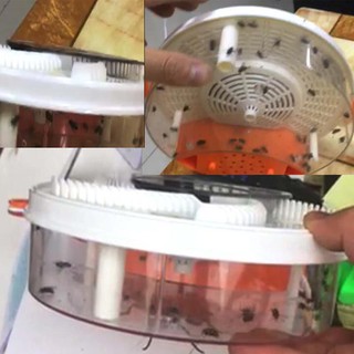 Máy bắt ruồi thông minh