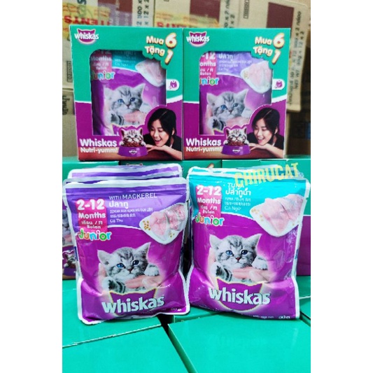 Combo Pate Whiskas Junior Mèo Bé Cá Ngừ Cá Thu Mua 6 Tặng 1