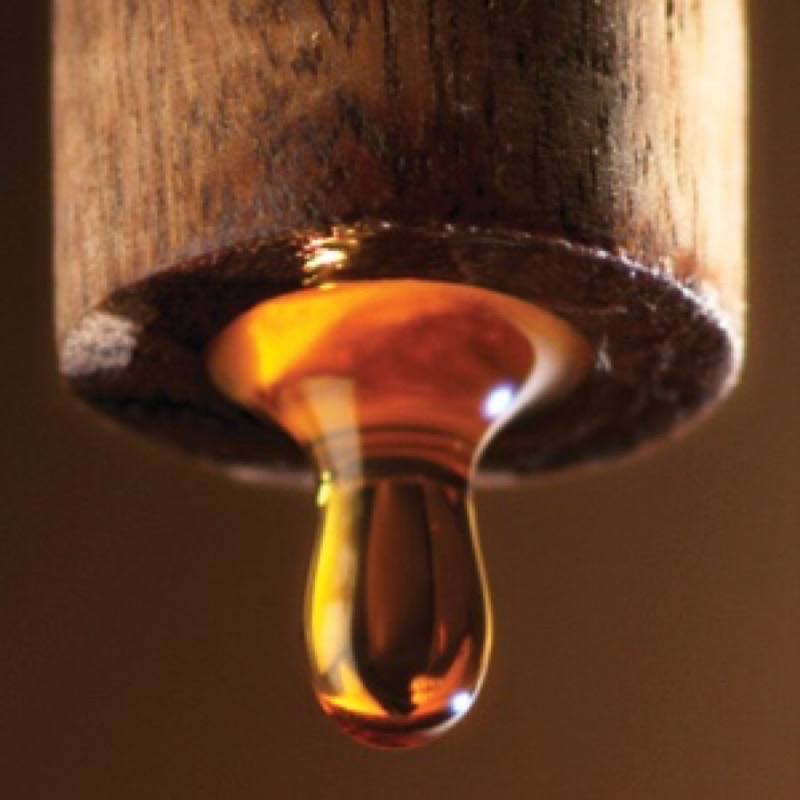 Nước mắm chay nhĩ đậu nành Thái Bình Dương 180ml-500ml