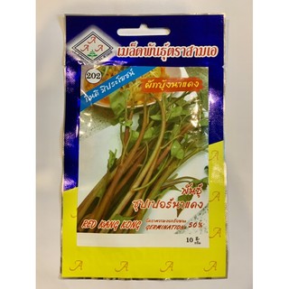 HẠT GIỐNG RAU MUỐNG ĐỎ THÁI LAN