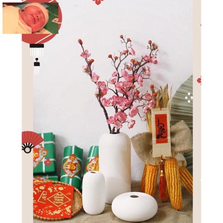 Trái bắp khô,ngô khô trang trí , decor Tết siêu đẹp