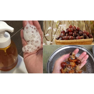 Bồ hòn tách hạt 100gr