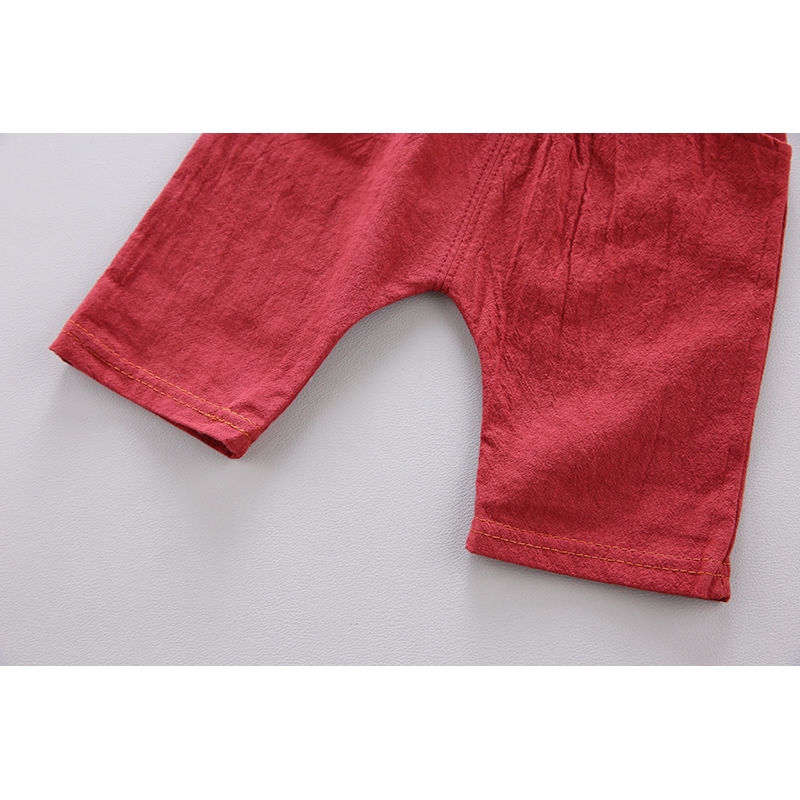 Bộ Đồ 2 Mảnh Gồm Áo Sơ Mi Tay Ngắn Họa Tiết Bồ Công Anh Và Quần Ngắn Cotton Đa Năng Thời Trang Cho Bé 0-5 Tuổi