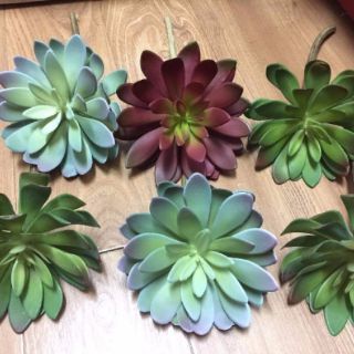  Hoa giả - Sen đá giả trang trí nhà cửa cắm hoa để bàn siêu xinh tạo không gian xanh mát 