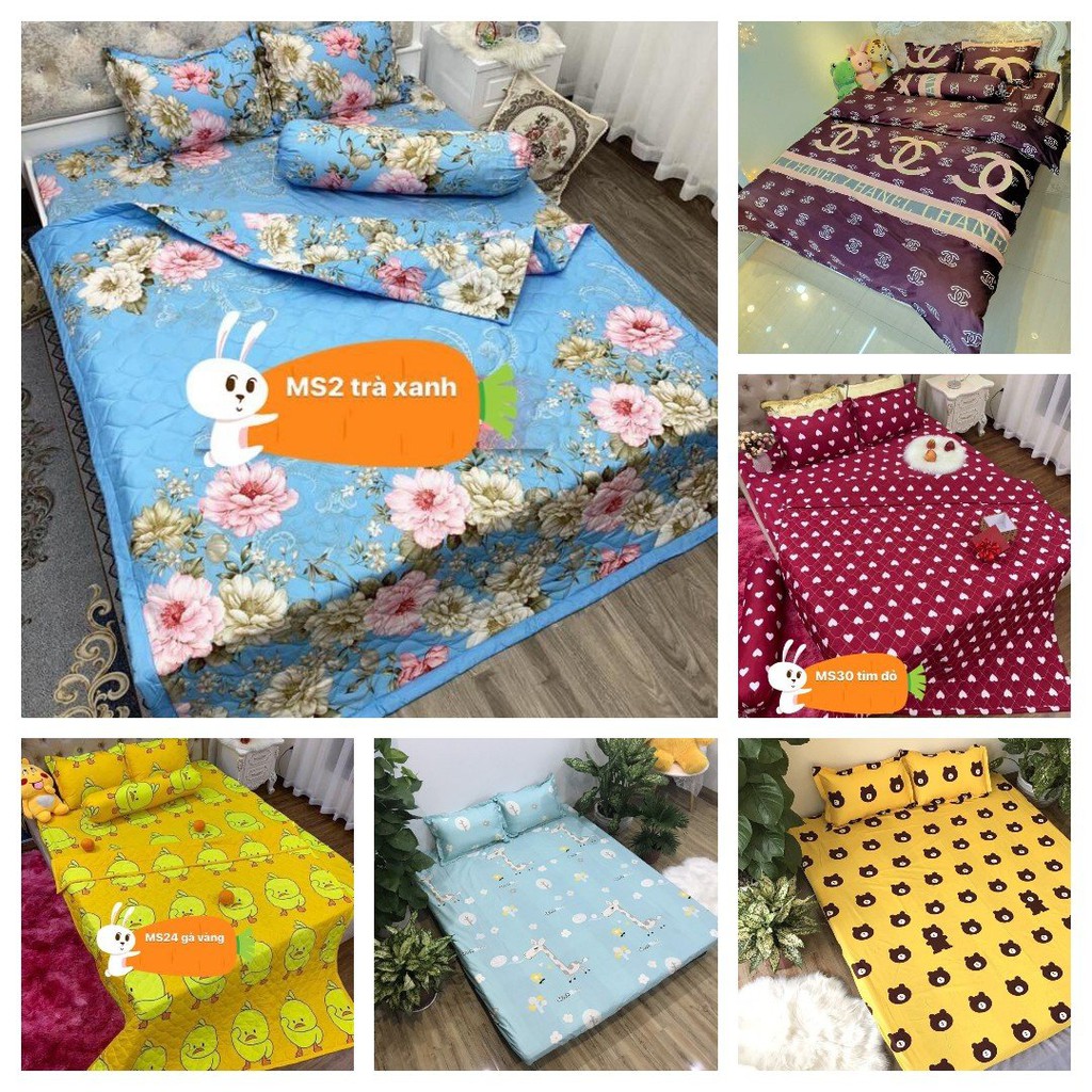 [Free ship-Giá lẻ=sỉ]Ga trải giường 1m cotton poly chuyên sỉ mẫu bơ xanh