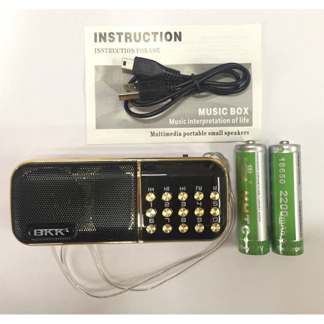 Loa nghe nhạc thẻ nhớ, usb, fm BKK B851