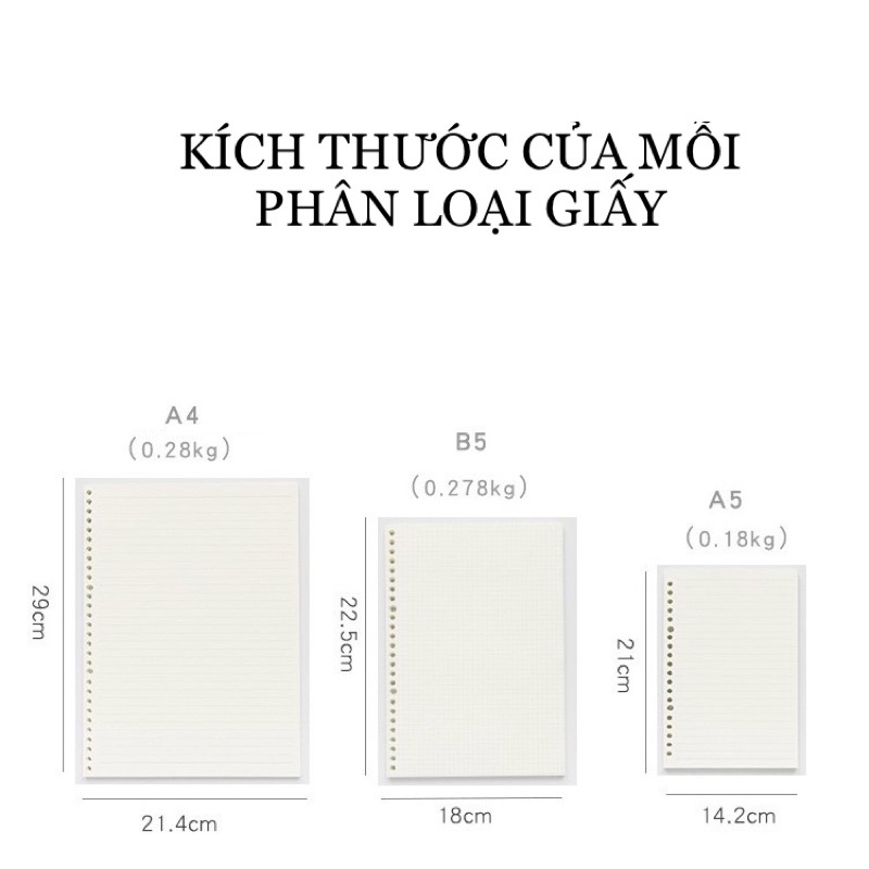 Giấy refill bổ sung 100gsm cho bìa còng sổ còng A5 B5 A4 nhiều lỗ (20/26/40 lỗ)