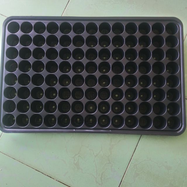 Set 5 Khay ươm hạt giống 104 lỗ bằng nhựa