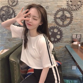 Áo thun nữ crop top sọc vai