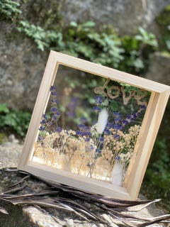 Khung ảnh hoa lavender