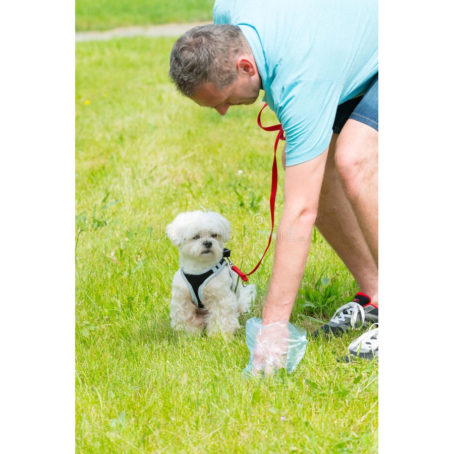 HN- Xẻng gắp phân chó cán ngắn + Túi hốt phân chó dạng túi bốc kít chó mèo tự hủy (màu ngẫu nhiên)