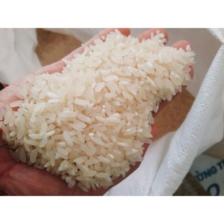 Gạo tẻ Séng Cù - Đặc sản Yên Bái