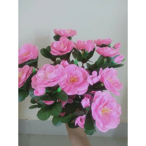 Cụm đỗ quyên siêu đẹp. cắm bình lọ trang trí nhà cửa bàn tiệc